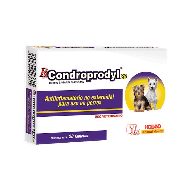 Condroprodyl 20 Tabletas - Holland Condroprodyl 20 Tabletas - Holland